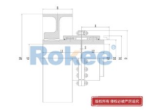 RODU制動(dòng)輪型鼓形齒式聯(lián)軸器廠(chǎng)家,RODU制動(dòng)輪型鼓形齒式聯(lián)軸器生產(chǎn)廠(chǎng)家